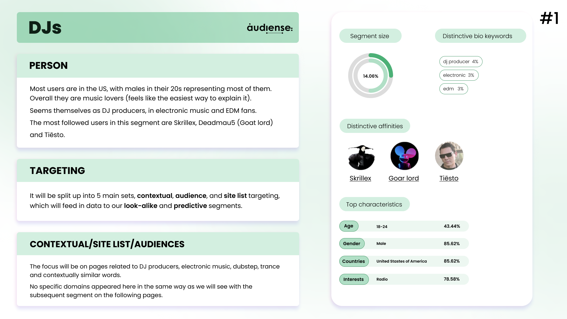 Audiense blog - DJs segment