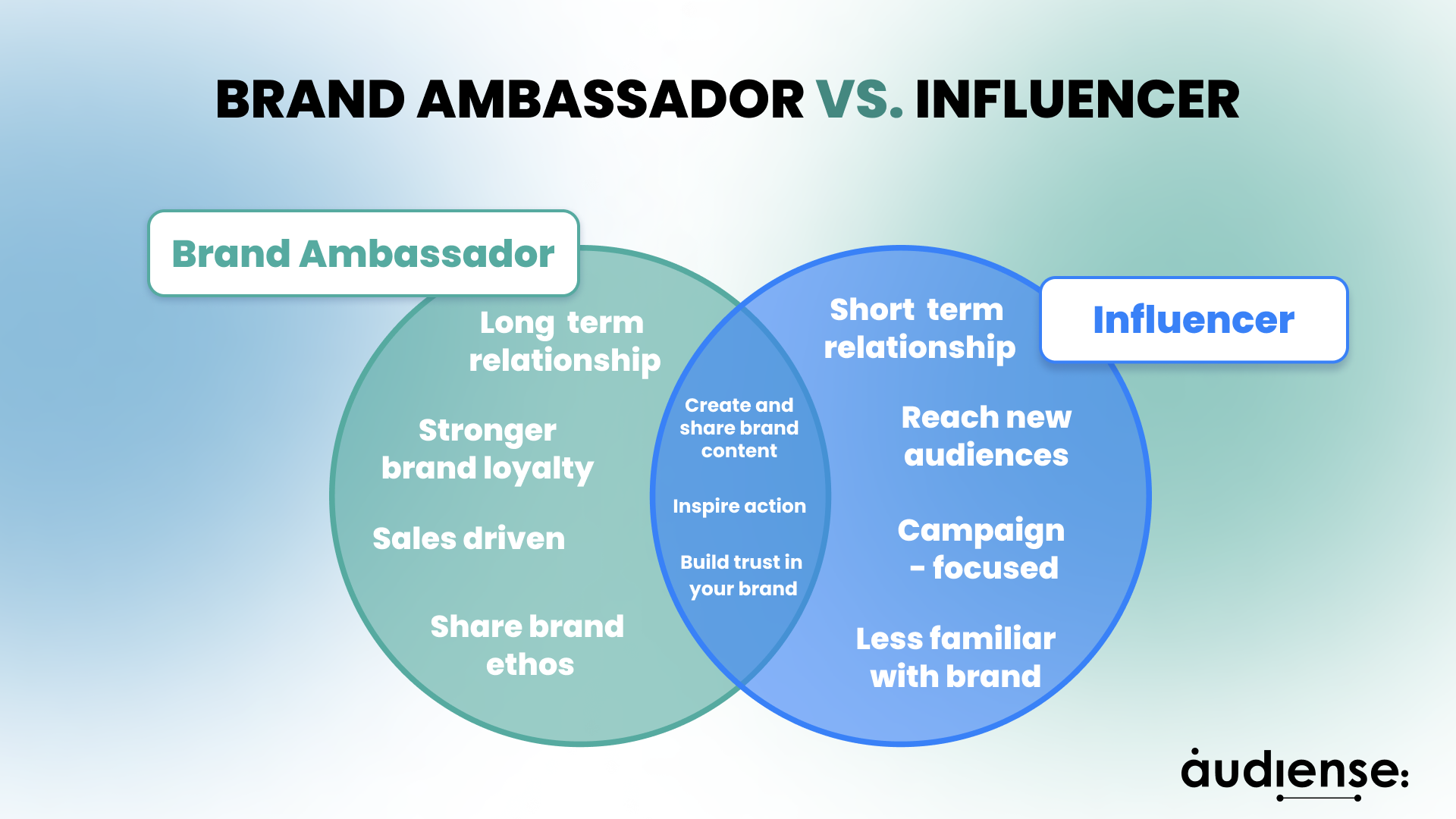 Audiense blog - ambassadors vs. influencers