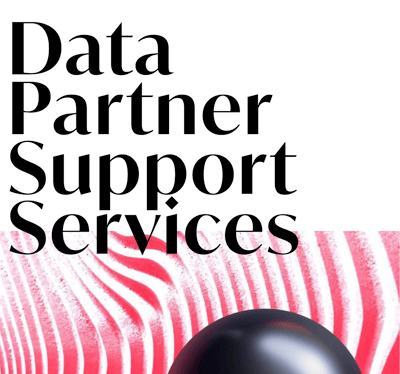 Piar Step Two_ Data Partner Support Services-1-1