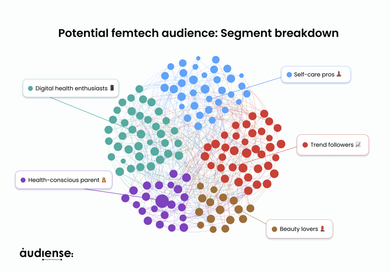 Potential femtech audience_ Segment breakdown (1)