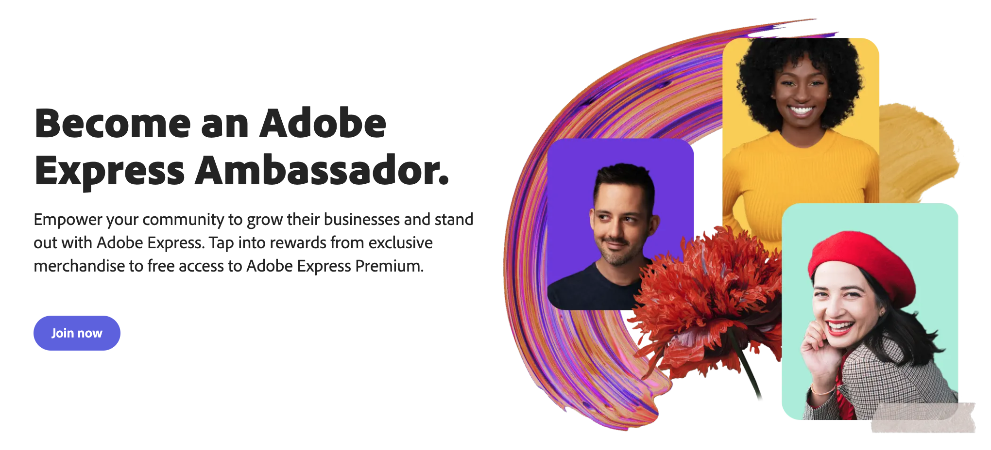 Audiense blog - Adobe ambassador program