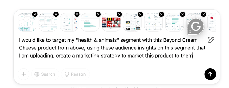 Audiense blog -  image - ChatGPT prompt Health & Animals segment from Beyond Meat audience