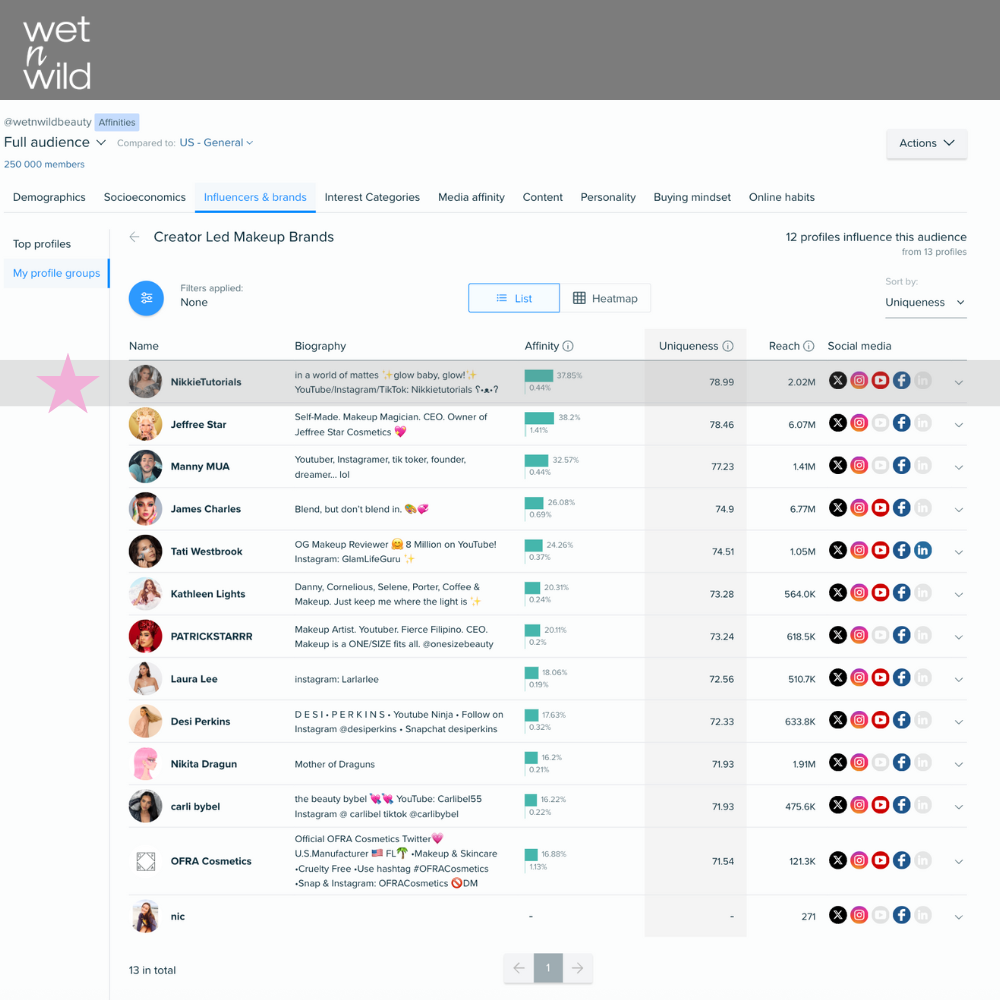 Audiense blog - image - Wet n Wild influencers - Audiense Insights