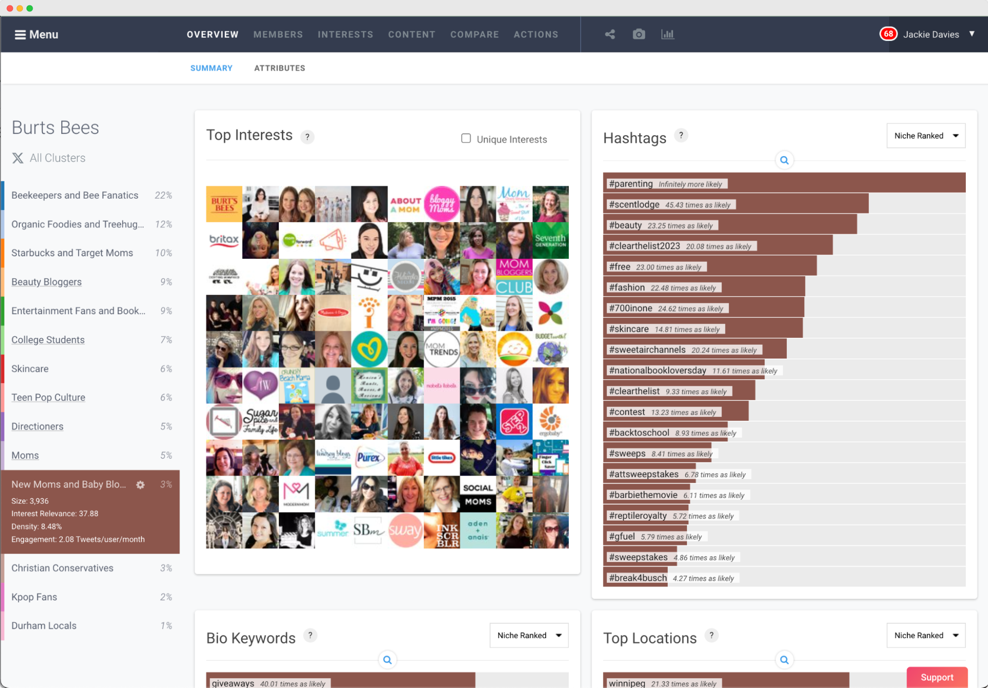 Image of the Burts Bees audience report in the Affinio platform