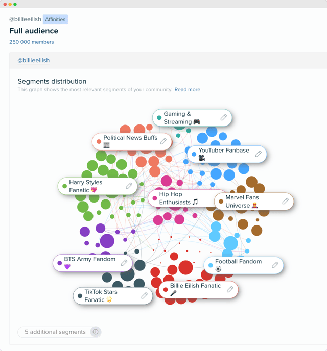 Image - Billie Eilish audience segments