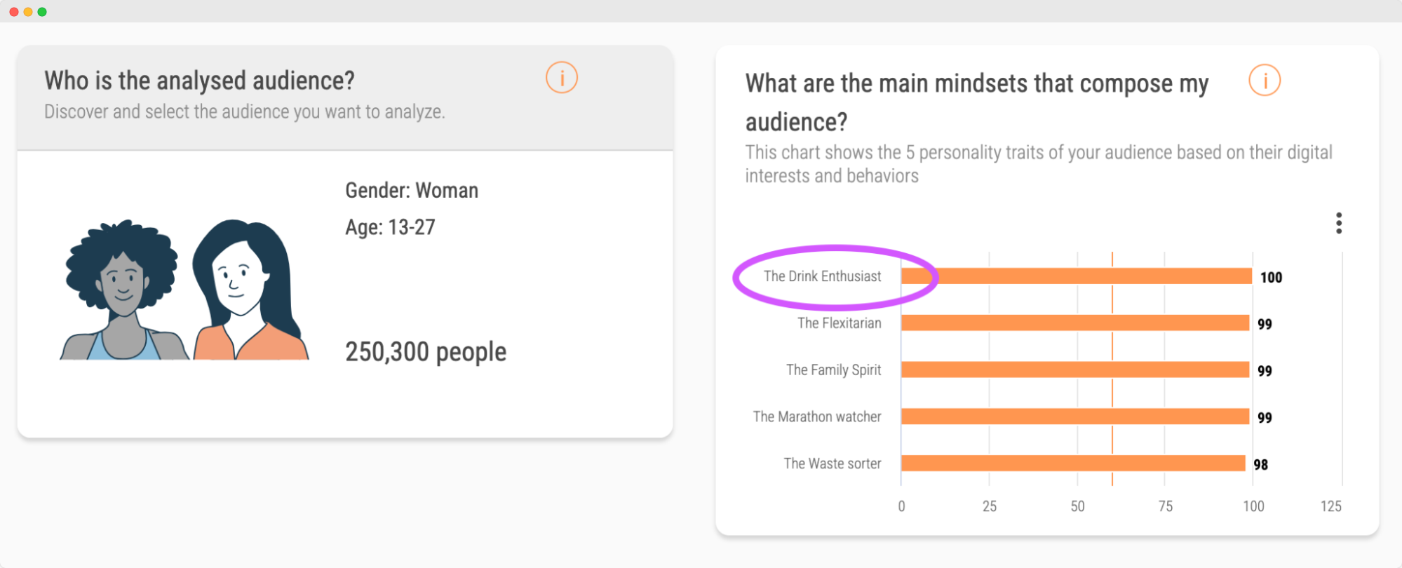 Audiense blog - image - Soprism dashboard - audience mindset